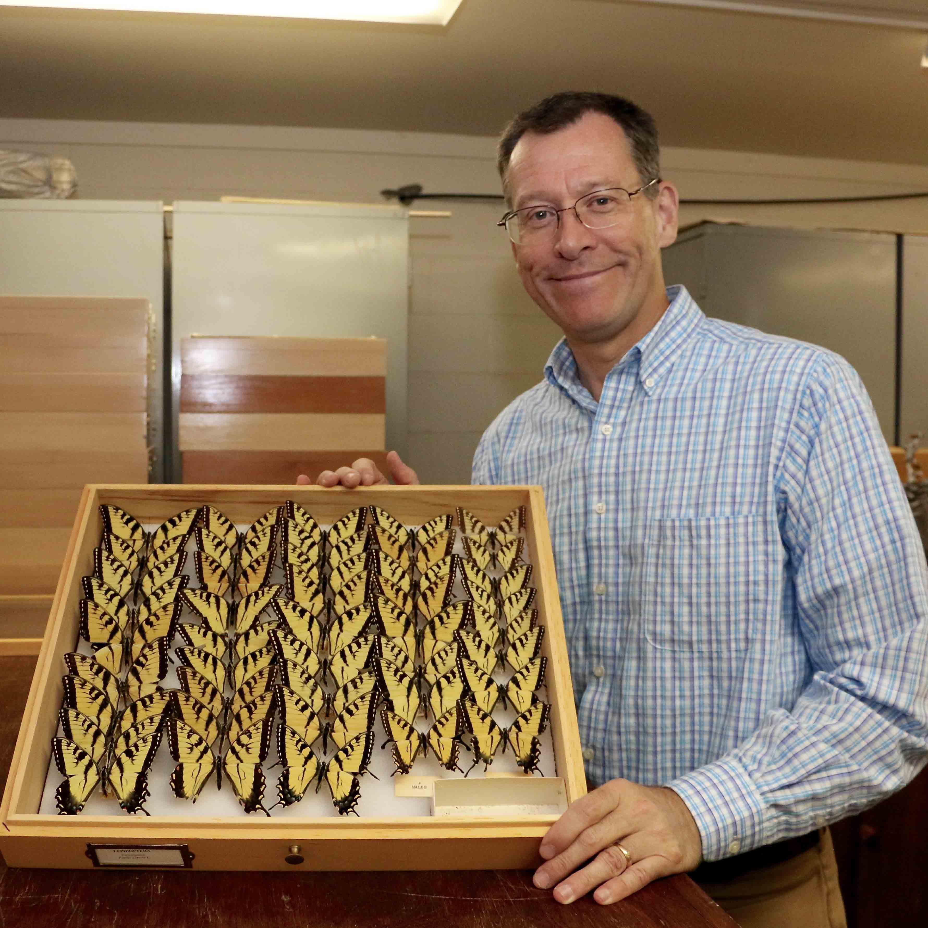 Joe McHugh, professor of entomology at the UGA College of Agricultural and Environmental Sciences and curator of the arthropod collection at the Georgia Museum of Natural History, is helping to lead a large multi-institution effort to digitize millions of butterfly and moth specimens across North America.