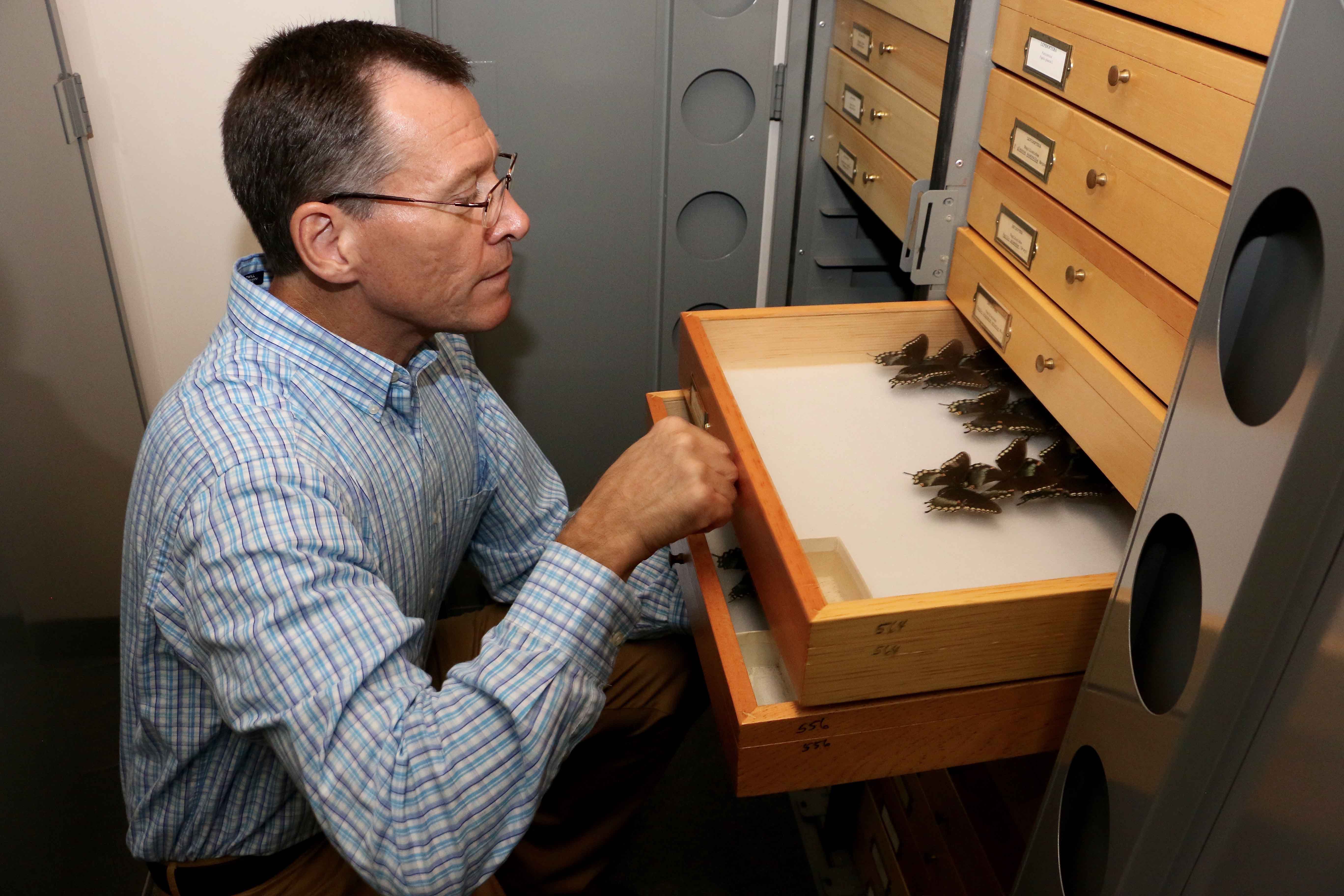 As part of the LepNet project, Joe McHugh, professor of entomology at the UGA College of Agricultural and Environmental Sciences and curator of the arthropod collection at the Georgia Museum of Natural History, will help lead the effort to digitize millions of butterfly and moth specimens now locked away in museum collections across the nation.
