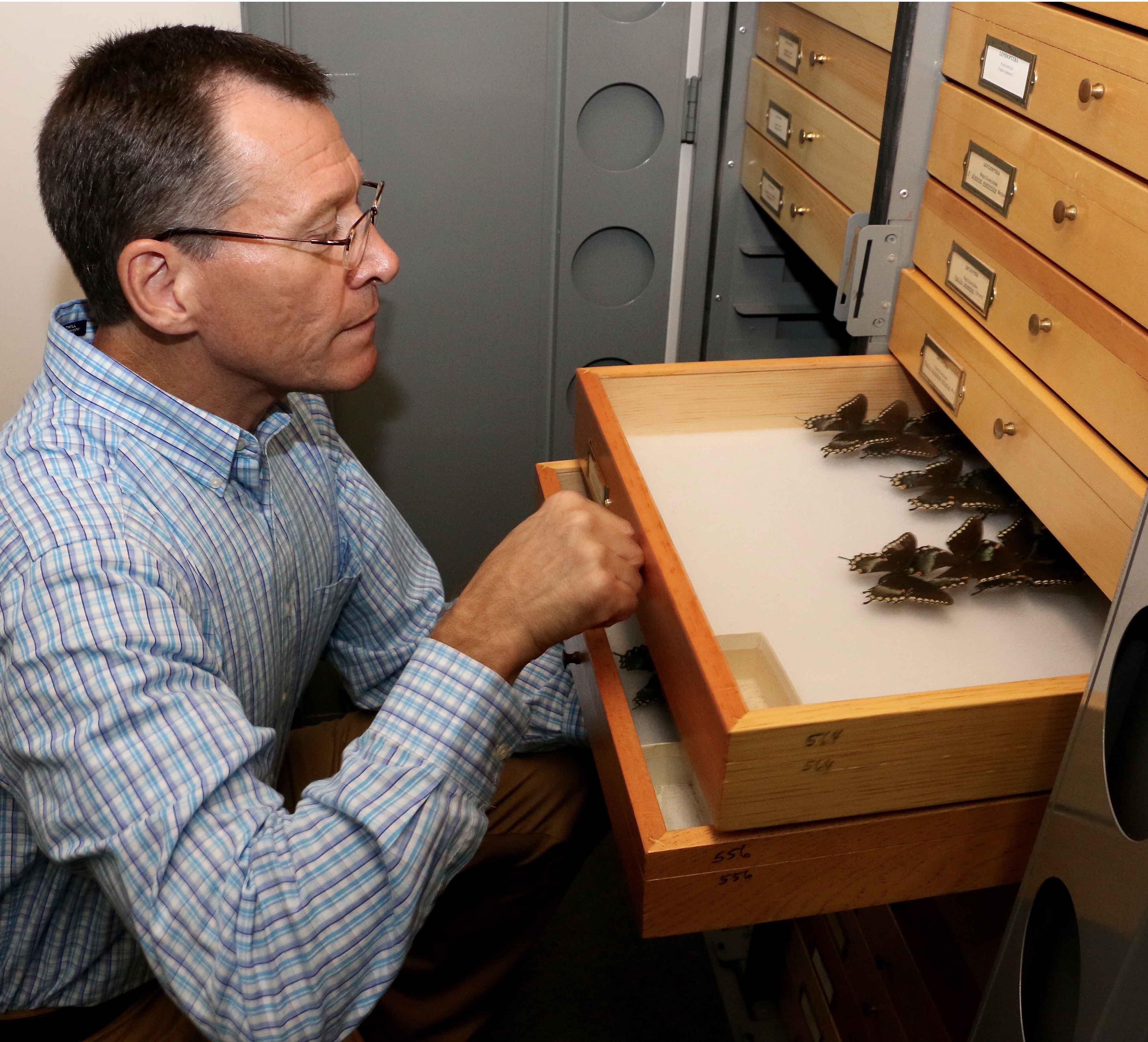 As part of the LepNet project, Joe McHugh, professor of entomology at the UGA College of Agricultural and Environmental Sciences and curator of the arthropod collection at the Georgia Museum of Natural History, will help lead the effort to digitize millions of butterfly and moth specimens now locked away in museum collections across the nation.