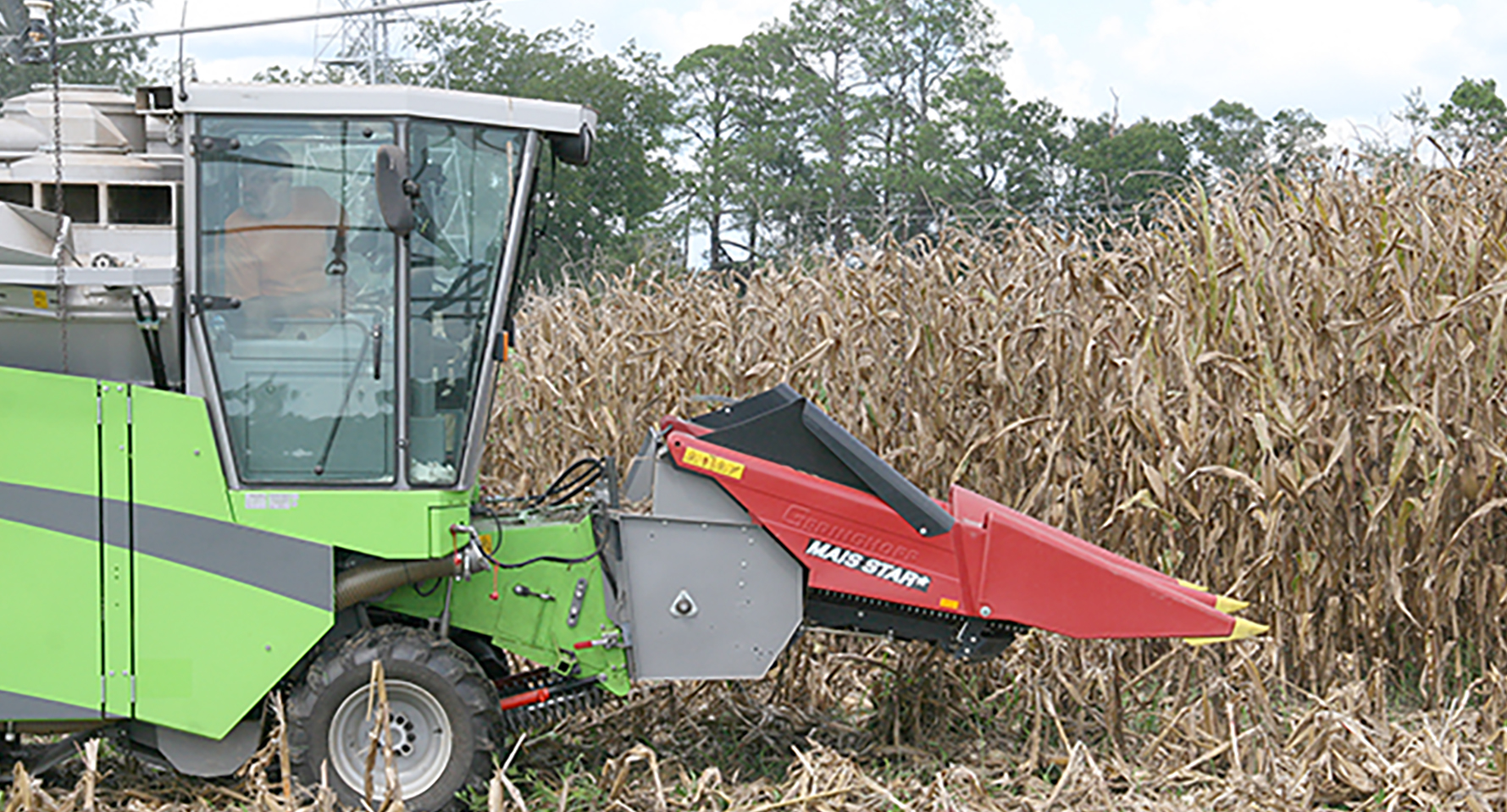Corn is harvested on the UGA Tifton Campus on August 11, 2016.