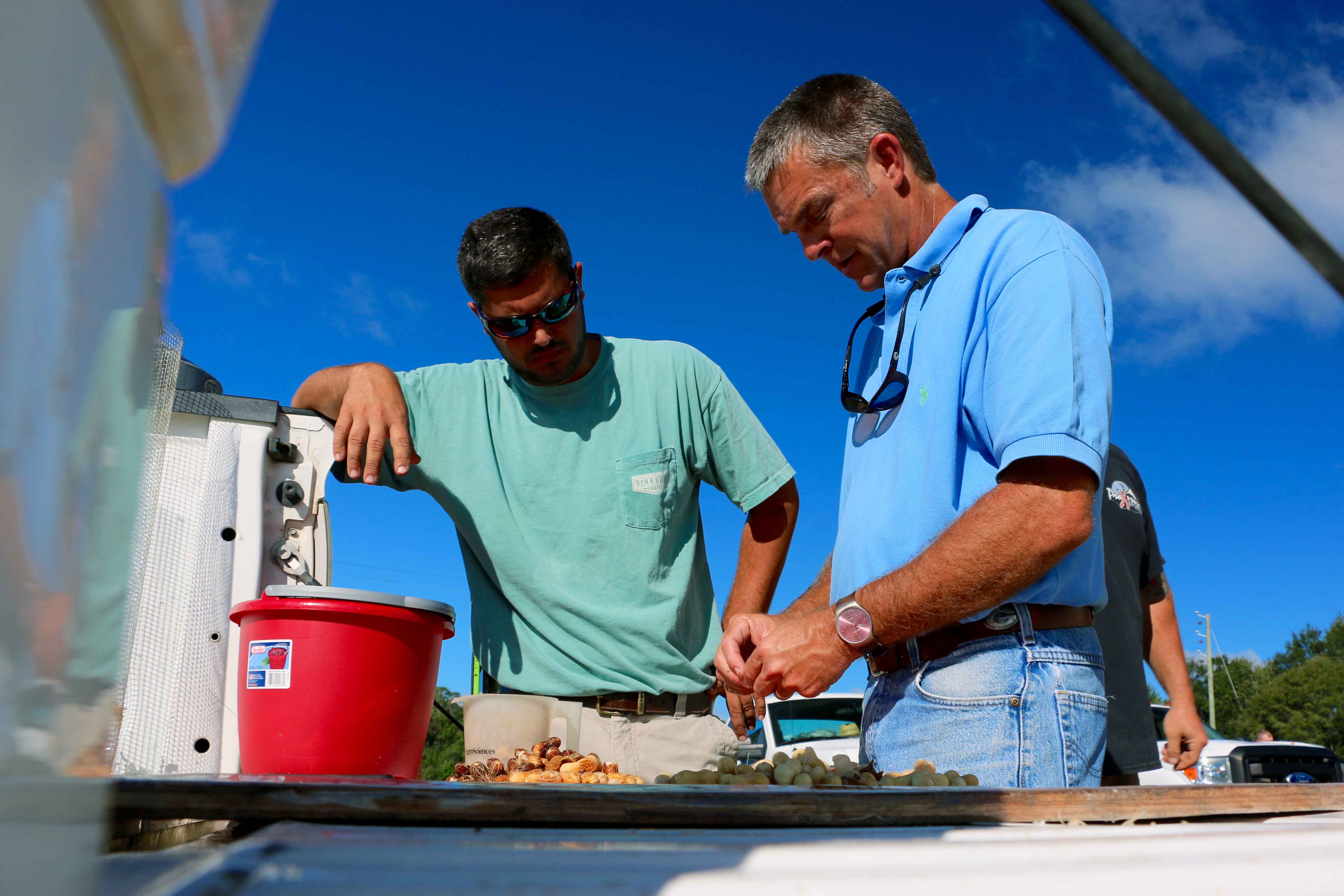 Bulloch County UGA Extension Coordinator Bill Tyson talks with a farmer during a UGA Extension Peanut Maturity Clinic at a peanut buying point in Register, Georgia, in September.