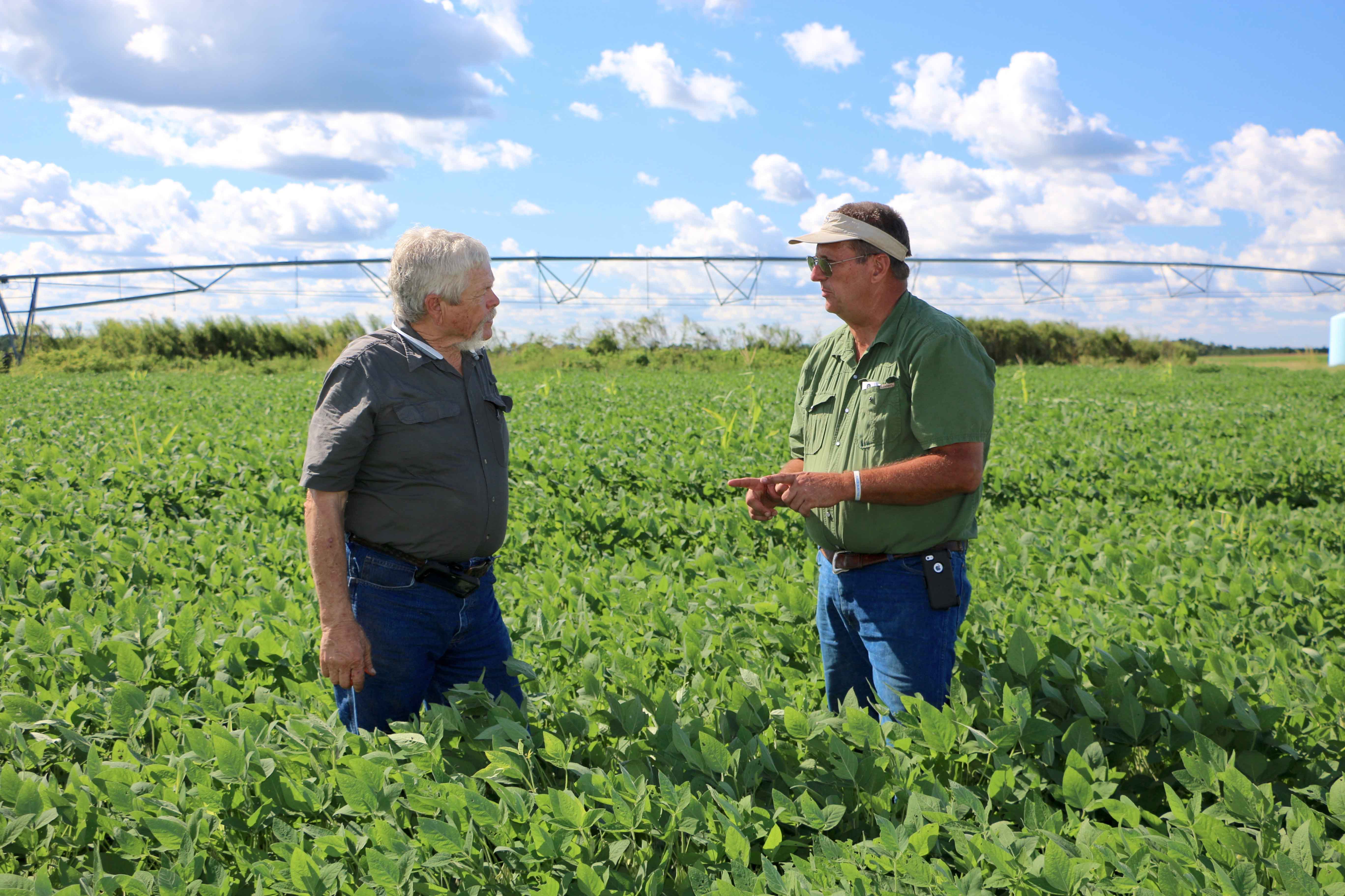 Georgia Farmer of the Year John McCormick examines a soy bean plant with Screven County Extension coordinator Ray Hicks. Hicks and McCormick have worked together for more than 20 years.