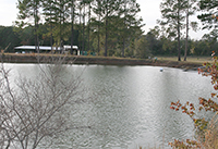 Pictured is a pond with low water on the UGA Tifton Campus at the Lang-Rigdon Farm, due to the drought.
Date: Nov. 9, 2016