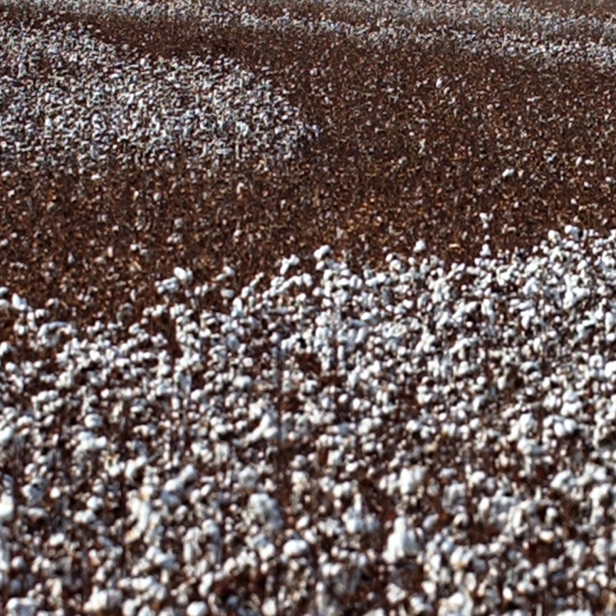 Georgia's cotton crop could exceed 1.3 million acres in 2010.
