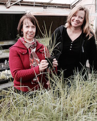 Carol Robacker (left) and Melanie Harrison, both scientists based on the University of Georgia campus in Griffin, Georgia, worked together on a project that resulted in three new little bluestem grasses. Robacker is a horticulturist with the UGA College of Agricultural and Environmental Sciences and Harrison is a scientist with the USDA Plant Genetic Resources Conservation Unit.