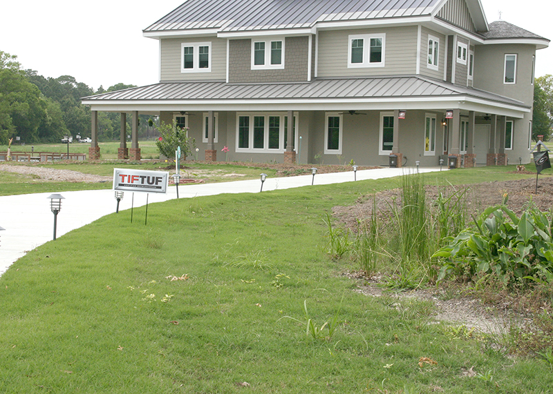 'TifTuf' is pictured growing in front of the Future Farmstead on the UGA Tifton campus.