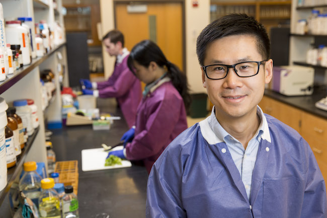 Xiangyu Deng, an assistant professor of food microbiology with the Center for Food Safety (CFS) on the UGA Griffin campus.
