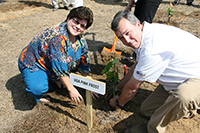 Mitchell County Extension Coordinator Jennifer Grogan and Grady County ANR Agent Brian Hayes plant a citrus tree.