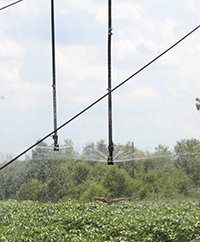According to UGA Extension irrigation specialist Wes Porter,  farmers should take care of maintenance procedures on their irrigation systems before the growing season begins to save them much-needed time during critical water-use periods.