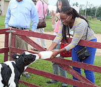 Sharmon Osae, University of Georgia College of Pharmacy clinical assistant professor, feeds a baby calf during the New Faculty Tour stop at UGA-Tifton.
