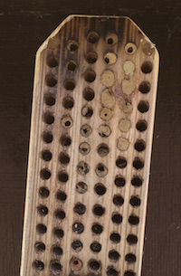 To make a drilled wood nest, drill a 3- to 5-inch hole in untreated wood without going all the way through the wood. Then, drill a variety of hole diameters, from one-quarter of an inch to three-eighths of an inch, all approximately three-quarters of an inch apart. Holes that are smaller in diameter should be 3 to 4 inches deep, and holes more than one-fourth of an inch in diameter should be 4 to 5 inches deep.
