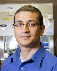 Lohitash Karumbaiah, assistant professor in UGA's College of Agricultural and Environmental Sciences, led the team that designed and created Brain Glue, a hydrogel matrix with a gelatin-like consistency that acts as a scaffolding for transplanted stem cells, which are capable of repairing damaged tissue. With the unique ability to take the shape of the void left in the brain after a severe trauma, the Brain Glue will enable a more natural healing environment for stem cells to colonize and regenerate.