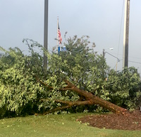 Winds from Tropical Storm Irma uprooted a tree on the lawn of the United Bank in Griffin, Georgia.