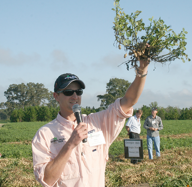 UGA peanut entomologist Mark Abney holds up a peanut plant during the Georgia Peanut Tour in 2016.