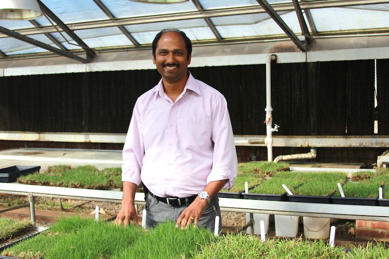 Shimat Joseph, an entomologist based on the University of Georgia Griffin campus, conducts research on turfgrass and ornamental plant pests. Joseph also works with UGA Cooperative Extension agents and teaches an entomology laboratory course for UGA students enrolled in the plant protection and pest management master's degree program.
