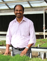 Shimat Joseph, an entomologist based on the University of Georgia Griffin campus, conducts research on turfgrass and ornamental plant pests. Joseph also works with UGA Cooperative Extension agents and teaches an entomology laboratory course for UGA students enrolled in the plant protection and pest management master's degree program.