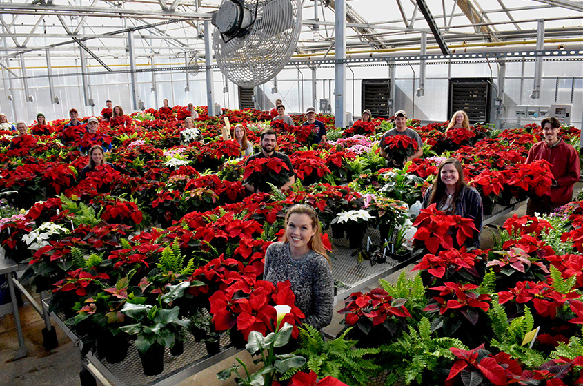 Students in University of Georgia College of Agricultural and Environmental Sciences Horticulture 4070 Greenhouse Management class pose with their bumper crop of poinsettias.