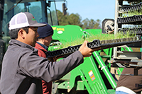 Employees load onion trays onto a machine with PlantTape technology.