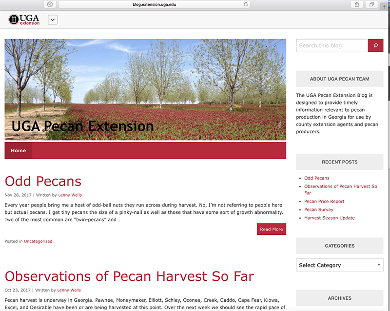 UGA Extension pecan specialist Lenny Wells communicates regularly to industry leaders and Georgia pecan farmers through his blog at blog.extension.uga.edu/pecan/. He provides updates on timely topics like pecan prices, what pests to watch for and his observations on the crop's harvest.