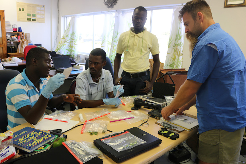 UGA graduate student Abraham Fulmer shows Haitian agronomists working at the Meds & Food for Kids facility in Cap-Haitian, Haiti, how to identify leaf spot in peanut in December 2016. Fulmer, who recently completed a PhD in plant pathology at the University of Georgia, did research in Haiti with the Feed the Future Peanut & Mycotoxin Innovation Lab, which was at UGA from 2012 to 2017 . The federal government recently awarded UGA another five-year peanut research program to battle global food insecurity.