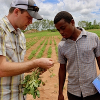 Jamie Rhoads, then-assistant director of the Peanut & Mycotoxin Innovation Lab at UGA, shows Mozambican student root nodulation on a peanut plant in Montepuez, Mozambique in January 2017. The federal government recently awarded the University of Georgia another five-year program to work with scientists in the U.S. and partner countries to increase global food security through peanut.