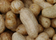 Peanut acreage in Georgia is up six percent over 2009.