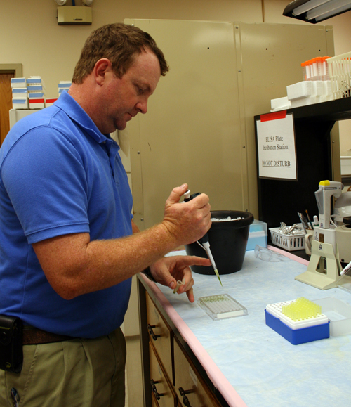 Stephen Mullis, a research professional with the UGA College of Agricultural and Environmental Sciences, runs a test in the viral lab on the UGA campus in Tifton, Ga.