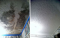 As a result of a roof leak, mold grows on the ceiling of a home.