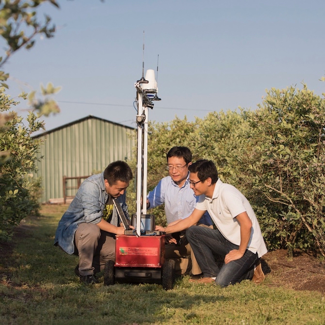 Professor Changying (Charlie) Li works with graduate students (L-R) Yu Jiang and Shangpeng Sun with a robot in a blueberry field. Li is heading a new research initiative at UGA, the Phenomics and Plant Robotics Center. The center will spearhead new research into using robots, sensing and data analysis to help aid the development of new crop varieties.