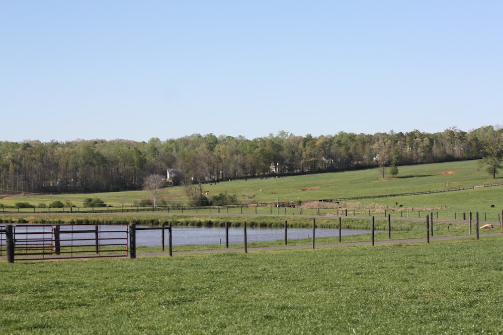 Georgia Farm