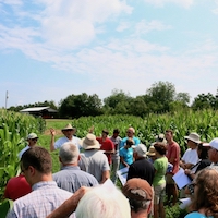 The staff at the University of Georgia's J. Phil Campbell Sr. Research and Education Center will host their annual corn boil and farm tour on June 26 from 9:30 a.m. to 1 p.m. Tours of the farm will be followed by a community corn boil.