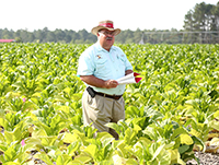 Extension tobacco agronomist J. Michael Moore speaks during the Tobacco Tour on June 13, 2018.