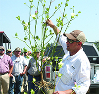 Jared Whitaker, UGA Extension cotton agronomist, speaks during the Midville Field Day in 2014.