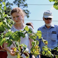 Aspiring grape grower Rachel Crow and wine science aficionado Joe Adams examine grape vines at Stonepile Vineyards in Clarkesville, Georgia, during the inaugural UGA Cooperative Extension Viticulture Team Vineyard Tour.