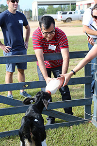 UGA faculty visited the UGA-Tifton Dairy Research Center and fed bottles of milk to 2-week-old calves.