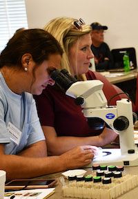 Pest control operators across the state and the Southeast attend a variety of workshops offered throughout the year by University of Georgia Cooperative Extension. A major component of these classes is insect identification.