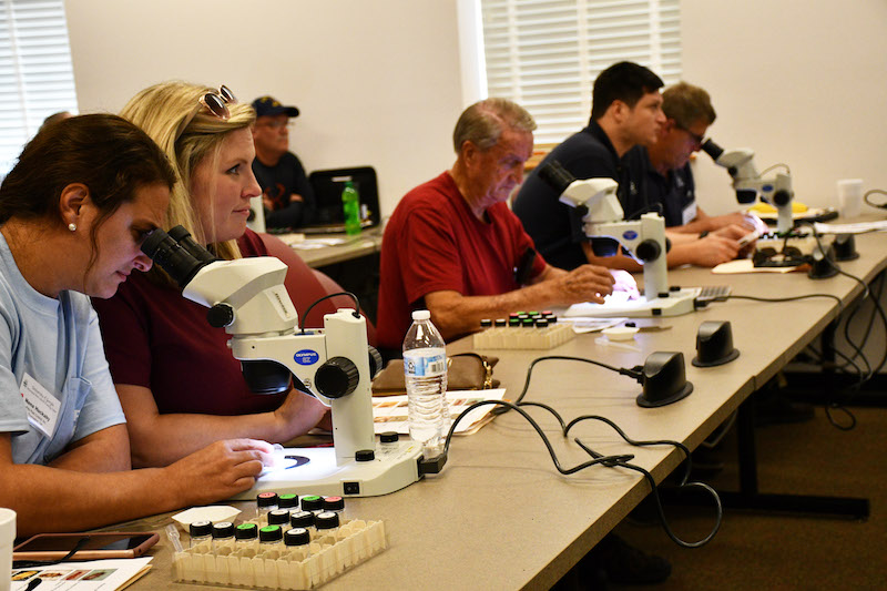 Pest control operators across the state and the Southeast attend a variety of workshops offered throughout the year by University of Georgia Cooperative Extension. A major component of these classes is insect identification.