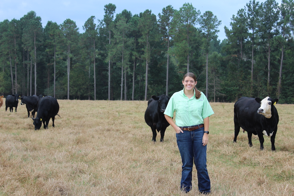 Cassie Powell, who transferred to the UGA College of Agricultural and Environmental Sciences this fall, is participating in the CAES Food Animal Veterinary Incentive Program.