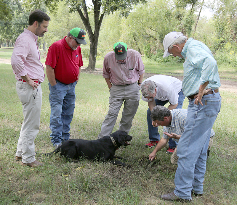 Eric Cohen and his dog Tate look for truffles during the Farm Tour on Tuesday, September 25.