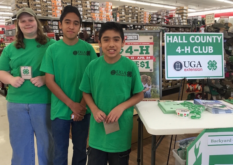 Held in partnership with National 4-H Council, the Tractor Supply Paper Clover fundraiser collectively raised $1,999,661 in 2018. In Georgia, 4-H members encourage residents in their counties to participate. Last year, these Hall County 4-H members set up an exhibit in their local Tractor Supply.