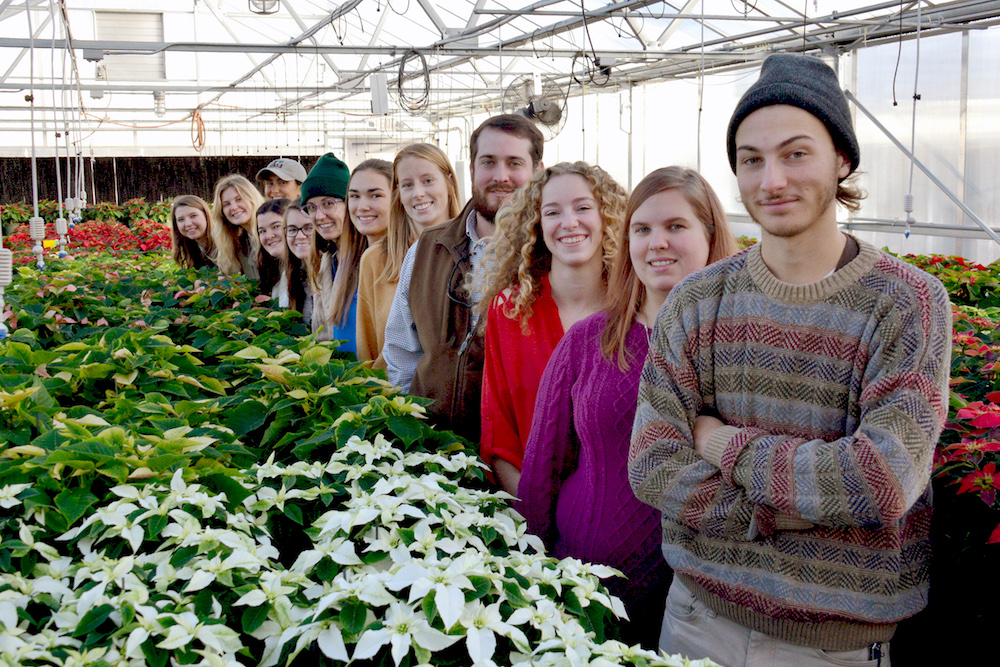 Students in University of Georgia's Tau chapter of the national Pi Alpha Xi (PAX) horticulture honor society are selling locally grown poinsettias and will take orders until Dec. 8.
