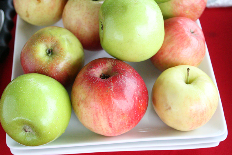 Fall is apple time in north Georgia. It's the one time of year Georgians find locally grown versions of this fruit.