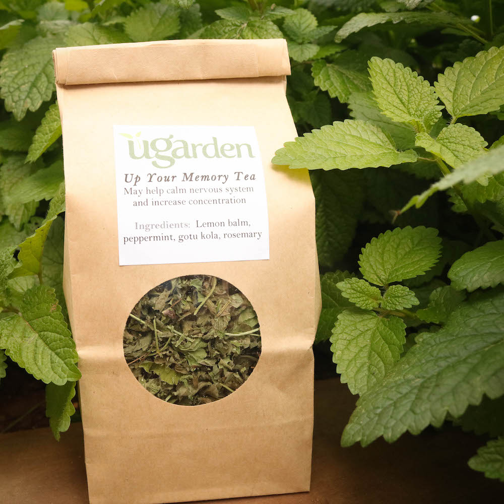 The UGArden’s Medicinal Herb Program markets 10 locally grown teas, including this exam season favorite.