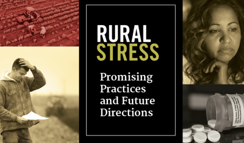 “Rural Stress: Promising Practices and Future Directions,” an interdisciplinary roundtable on the challenges facing rural America, was held in Atlanta Dec. 10-11, 2018.