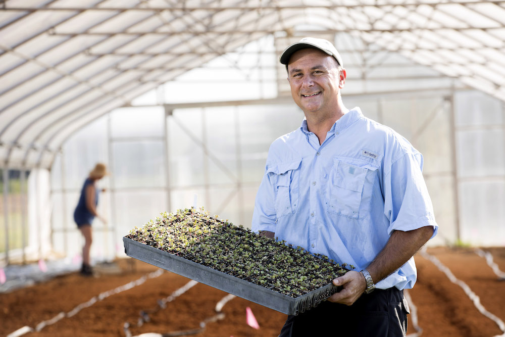 During Tim Coolong’s years as a state ­vegetable specialist, his research focused on variety trials and developing irrigation and fertilization recommendations for farmers (photo by Dorothy Kozlowski).