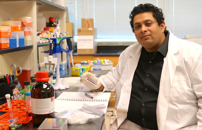 University of Georgia bacteriologist Govind Dev Kumar joined the faculty at the Center for Food Safety on the UGA Griffin campus in Griffin, Georgia, in September of 2018.