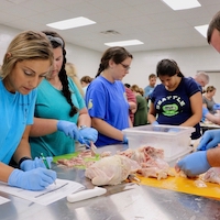 Teachers break down a broiler to help learn about the anatomy of a chicken at the UGA Department of Poultry Science’s Avian Academy teacher training.