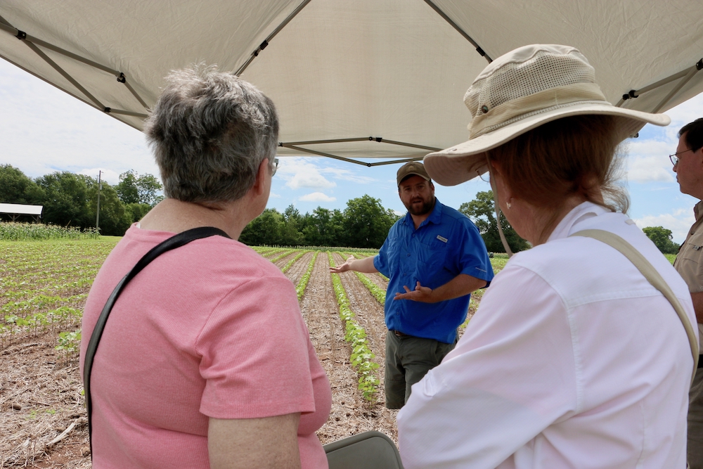 UGA Extension cotton agronomist Mark Freeman tells a crowd about the cotton variety trials being conducted at the J. Phil Campbell Sr. Research and Education Center at the farm's 2019 corn boil.