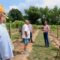 University of Georgia Cooperative Extension viticulture specialist Cain Hickey leads a tour of his muscadine vineyard outside of Athens.
