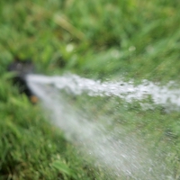 July is Smart Irrigation Month. It's a good time to check home irrigation systems and develop more efficient irrigation habits.